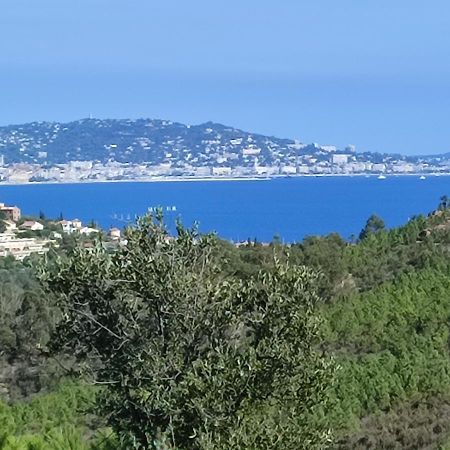 Le Jasmin Apartment Mandelieu La Napoule Bagian luar foto
