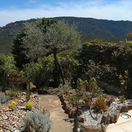 Le Jasmin Apartment Mandelieu La Napoule Bagian luar foto