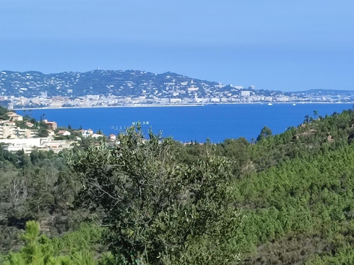 Le Jasmin Apartment Mandelieu La Napoule Bagian luar foto