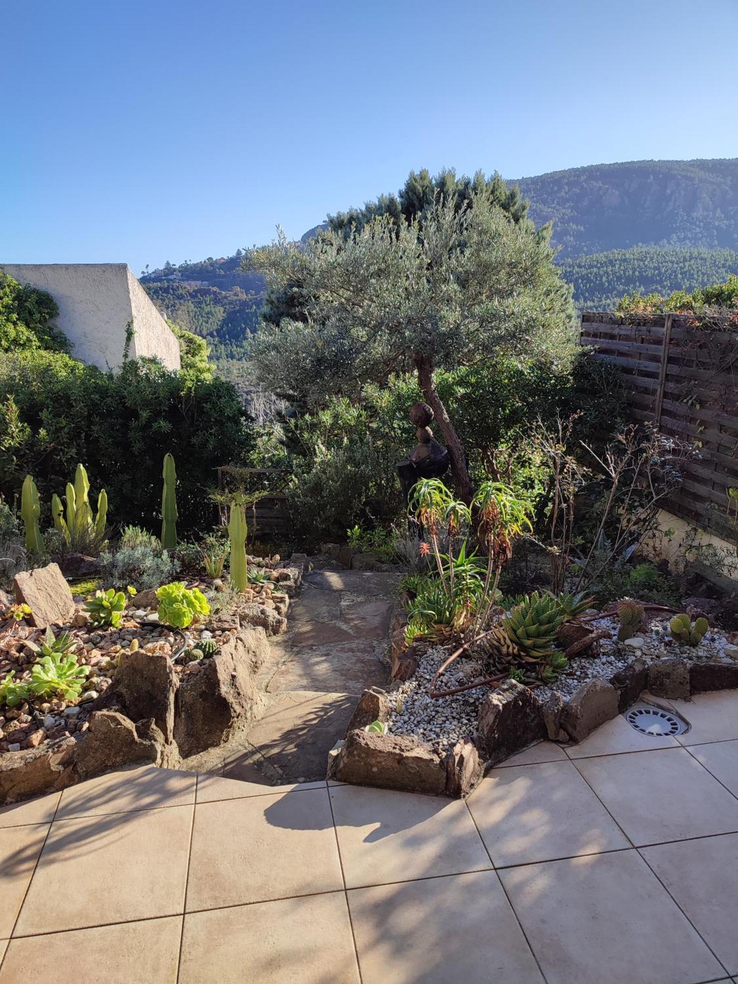 Le Jasmin Apartment Mandelieu La Napoule Bagian luar foto